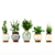  PBR Indoor Plant Set 3D model small image 2