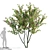 Paul's Scarlet Hawthorn Tree Models 3D model small image 2