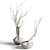 Elegant Vases with Branches 3D model small image 1