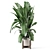 Rusty Concrete Pot Indoor Plants 3D model small image 4