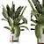 Rustic Indoor Plants Set 2315 3D model small image 1