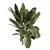 Rustic Indoor Plants Set 2315 3D model small image 2