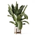 Rustic Indoor Plants Set 2315 3D model small image 3