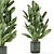 Rusty Concrete Pot Indoor Plants 3D model small image 2