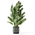 Rusty Concrete Pot Indoor Plants 3D model small image 3