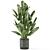 Rusty Concrete Pot Indoor Plants 3D model small image 4