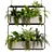 High-Quality Hanging Indoor Plant Model 3D model small image 3