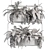 High-Quality Hanging Indoor Plant Model 3D model small image 4