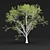 Russian Birch Tree Pack Vol 44 3D model small image 5