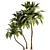 Tropical Palm Tree 3D Model 3D model small image 2