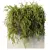 Outdoor Hanging Plant Collection 3D model small image 1