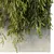 Outdoor Hanging Plant Collection 3D model small image 5