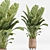 Green Indoor Plant Set 053 3D model small image 2