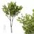Spring Ash Maple Tree Model 3D model small image 3