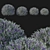Eremophila Nivea Model 3D Rendering 3D model small image 1