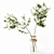 Premium Indoor Plant Collection 3D 3D model small image 7
