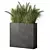 Premium Green Grass Plant Set 3D model small image 1