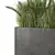 Premium Green Grass Plant Set 3D model small image 2
