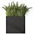 Premium Green Grass Plant Set 3D model small image 3