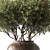  Emerald Branch Bouquet 3D model small image 2