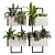 High-Quality Indoor Hanging Plant Set 3D model small image 1