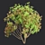 Premium Bottlebrush Bush Collection Vol.48 3D model small image 2