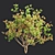 Premium Bottlebrush Bush Collection Vol.48 3D model small image 3