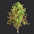 Premium Bottlebrush Bush Collection Vol.48 3D model small image 4