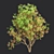 Premium Bottlebrush Bush Collection Vol.48 3D model small image 5