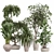  Modern Indoor Plant Set 3D model small image 1