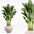  Modern Indoor Plant Set 3D model small image 6