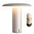 Modern Portable Battery Operated Lamp 3D model small image 1