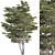 Giant Saplings Set 328 3D model small image 1