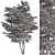 Giant Saplings Set 328 3D model small image 3