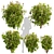 Premium Viburnum Tinus Shrub Model 3D model small image 1