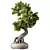 Bonsai Tree Set, 162 Miniatures 3D model small image 1