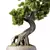 Bonsai Tree Set, 162 Miniatures 3D model small image 4