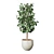 Potted Indoor Plant 3D Model 3D model small image 2