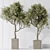 Elegant Artificial Olive Tree Set 3D model small image 4