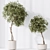 Elegant Artificial Olive Tree Set 3D model small image 6