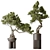 Title: Bonsai Pinus Pentaphylla Set 3D model small image 1