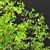 Volume 30 Low Poly Bushes 3D model small image 4