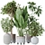 Indoor Plants Set 3D Models 3D model small image 1