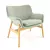 Contemporary Vedbo Armchair in Light Green 3D model small image 1