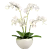 Indoor Orchid Plant in Pot 3D model small image 2