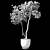 CG Plant Collection OBJ Materials 3D model small image 7