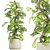 Green Oasis Indoor Plants Set 3D model small image 1