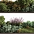 Botanical Bliss Outdoor Blossoms 3D model small image 3