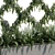 Outdoor Plant 21 - Corona 9 Version 3D model small image 2