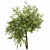 3D Summer Tree Model Collection 3D model small image 5